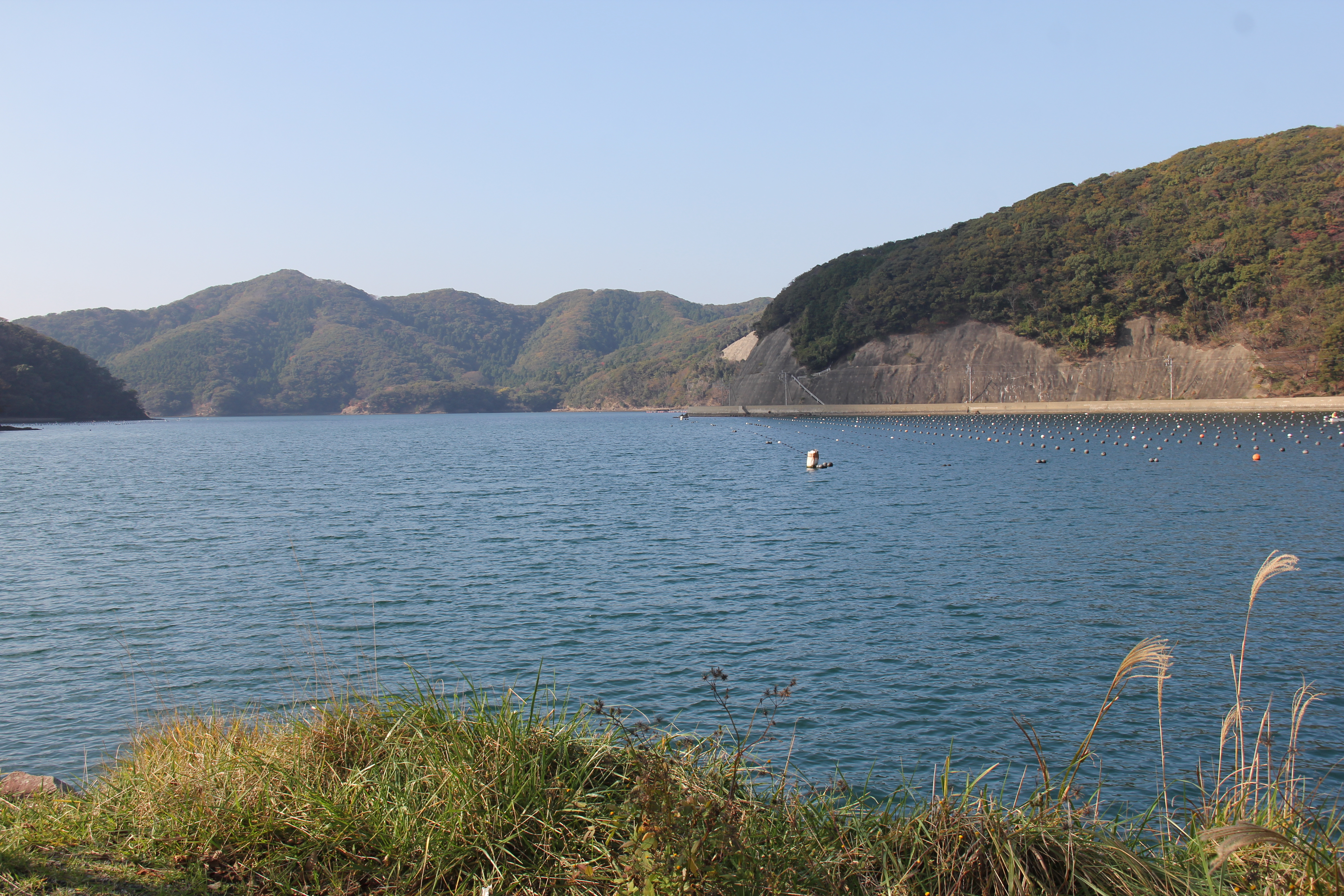 IMG_3467.JPG