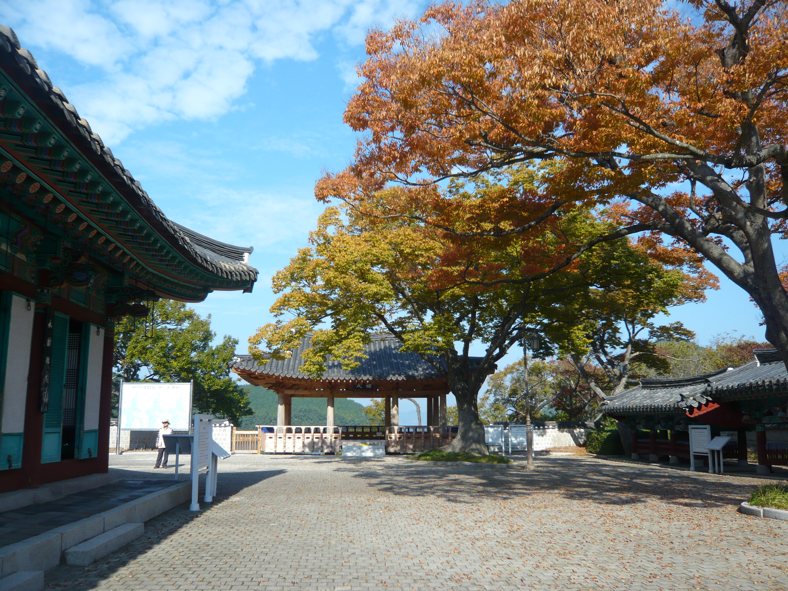 P1090437.JPG