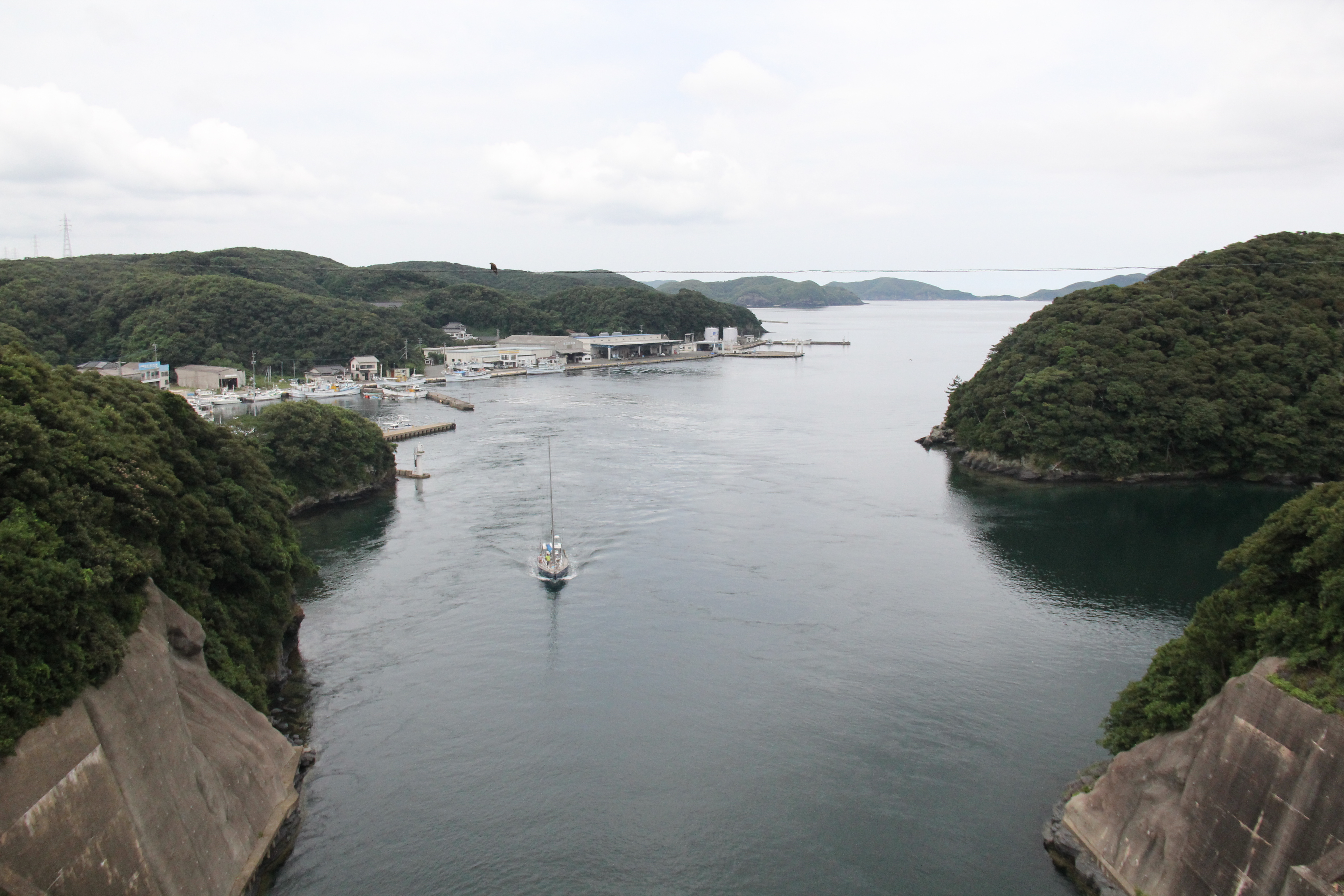 IMG_8972.JPG