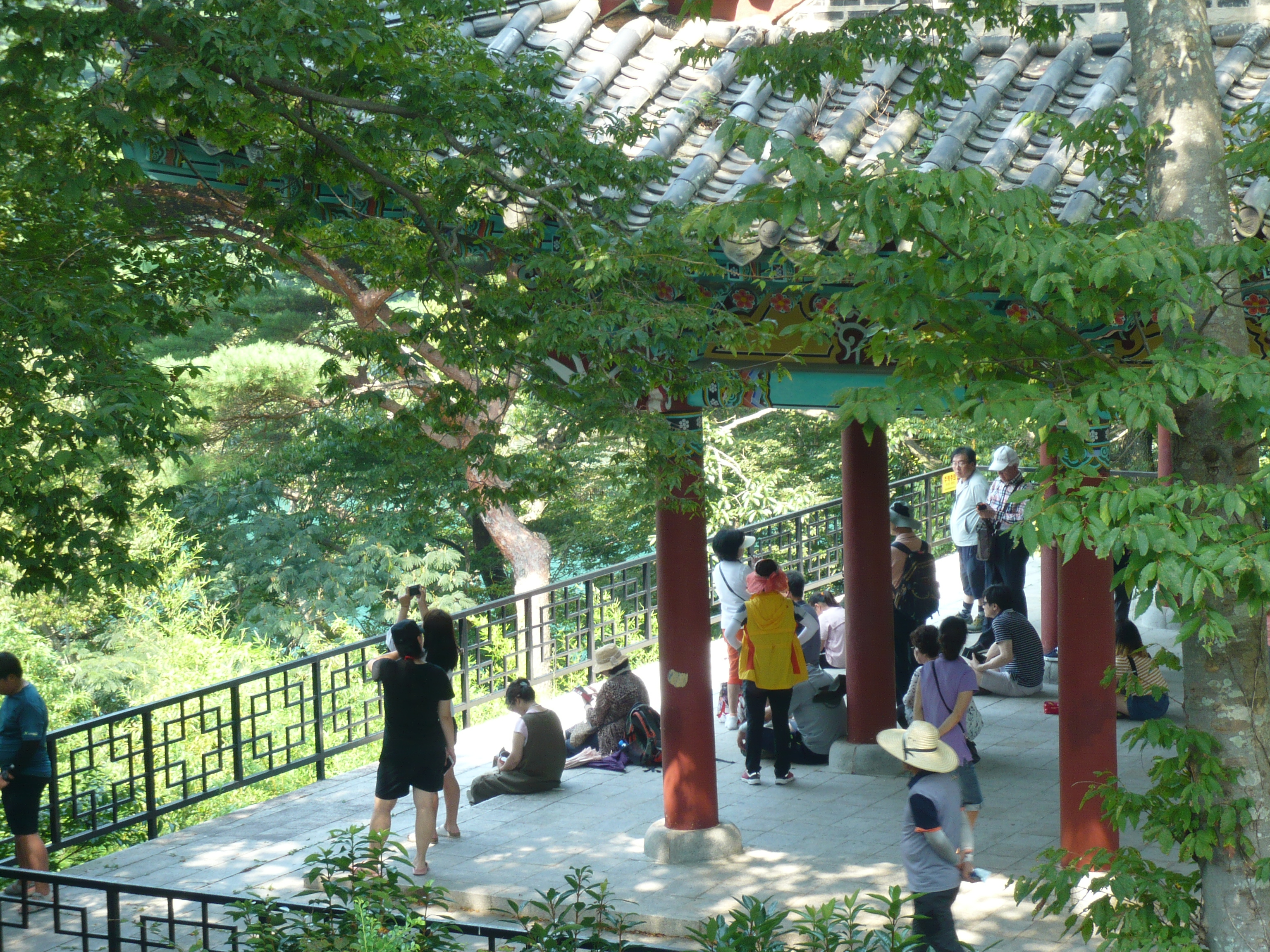 P1100151.JPG