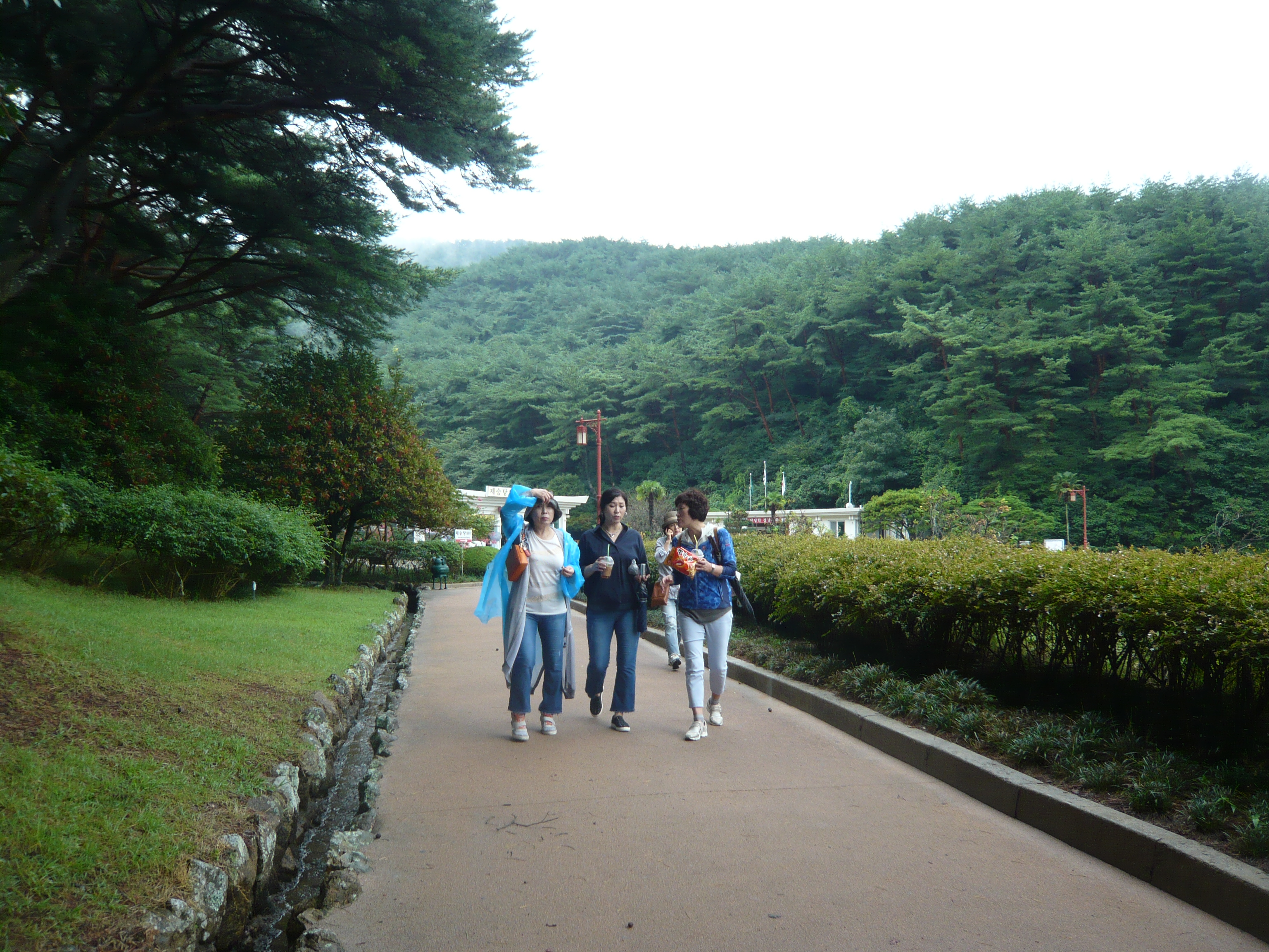 P1100406.JPG