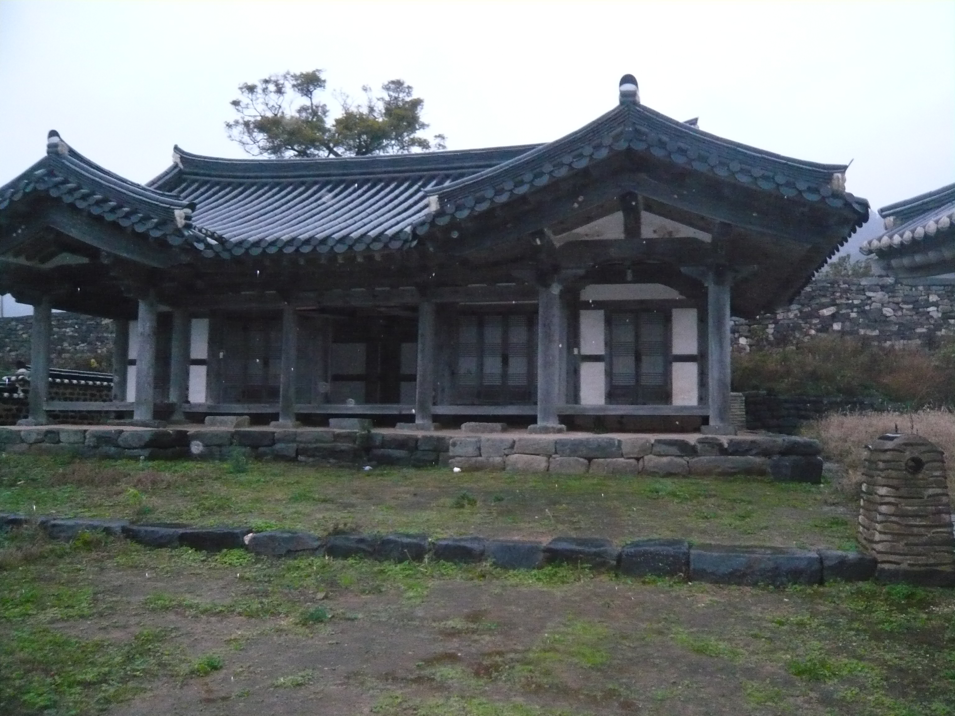 P1100653.JPG