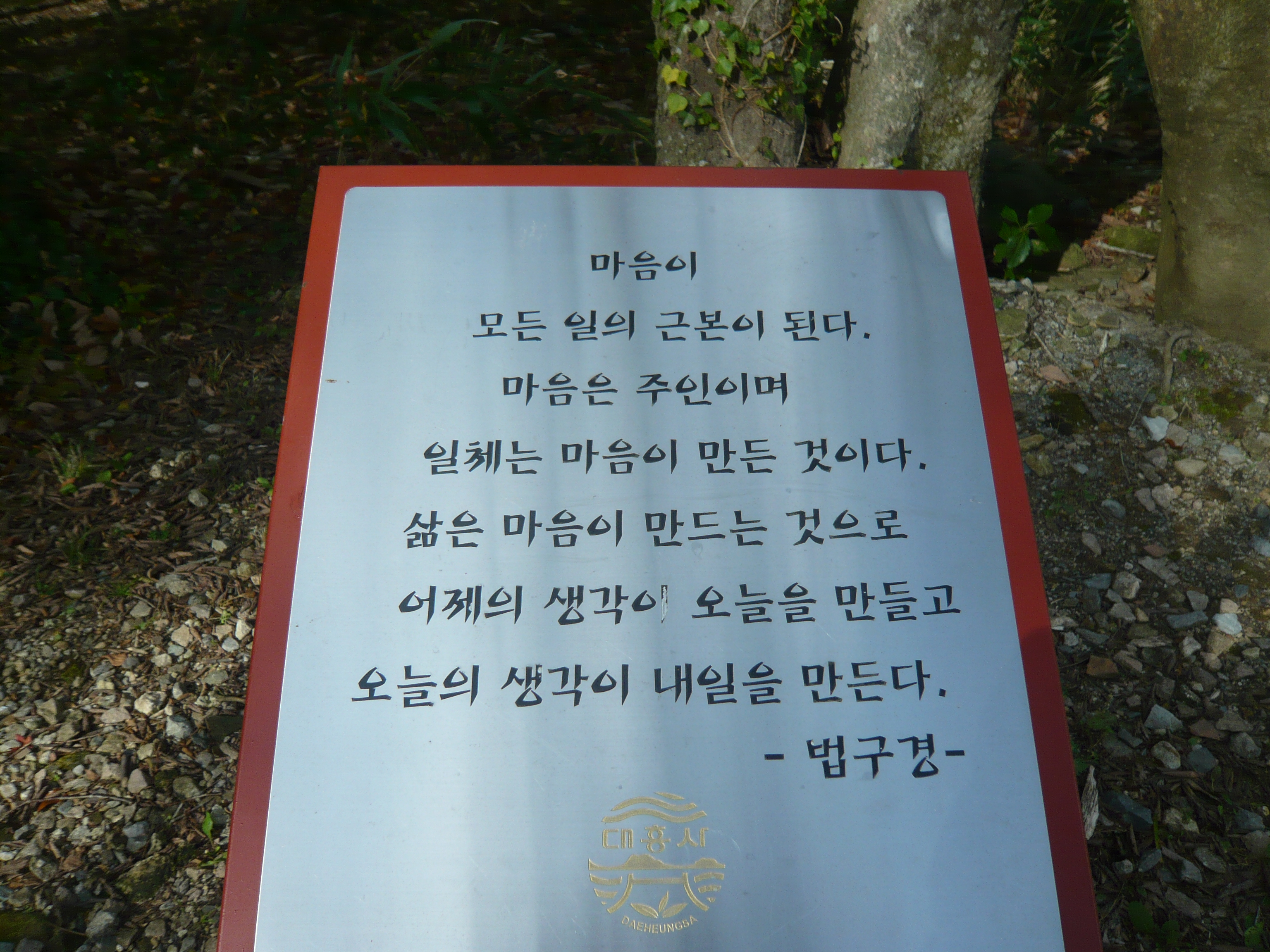 P1100756.JPG