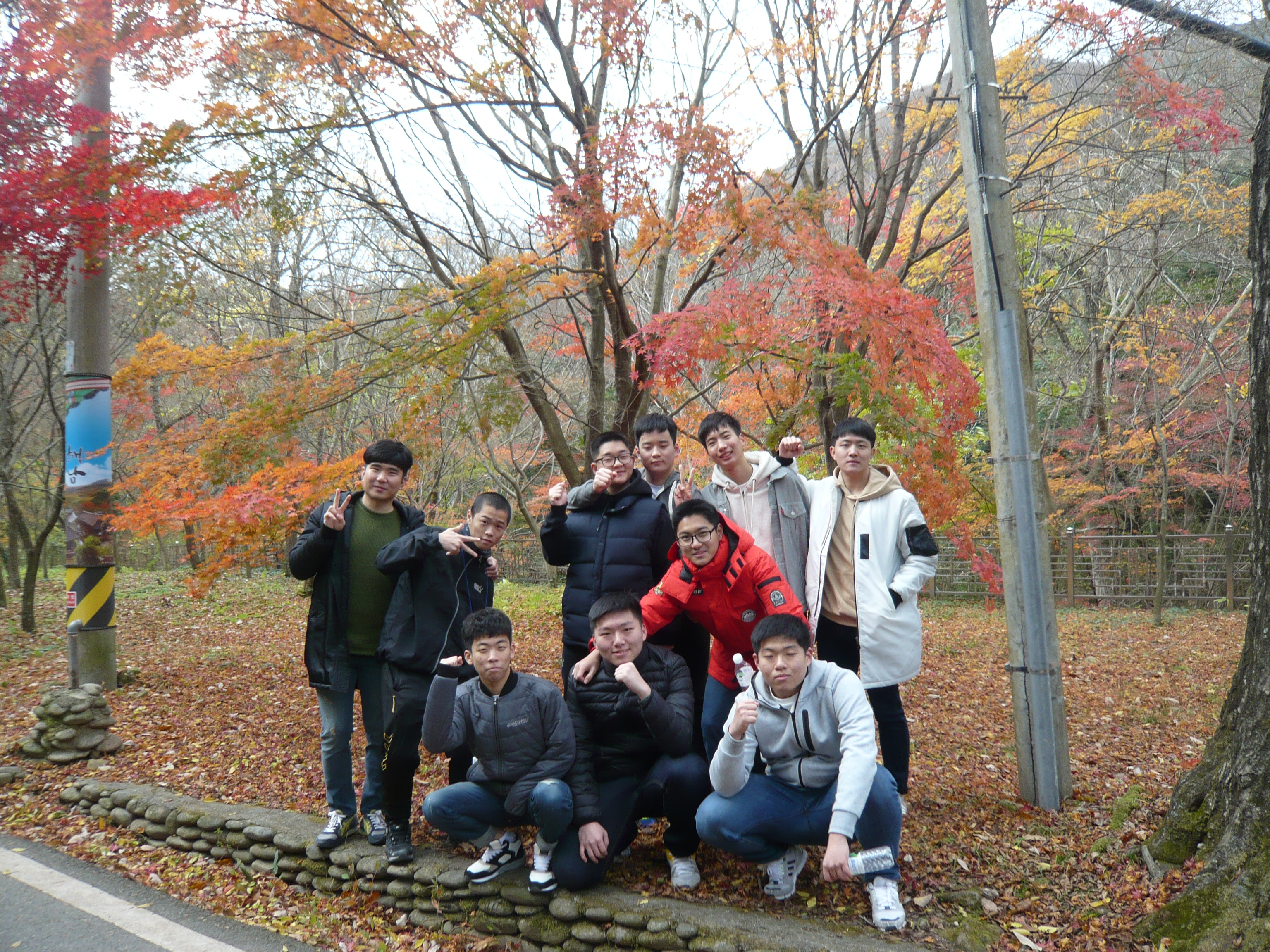 P1100758.JPG