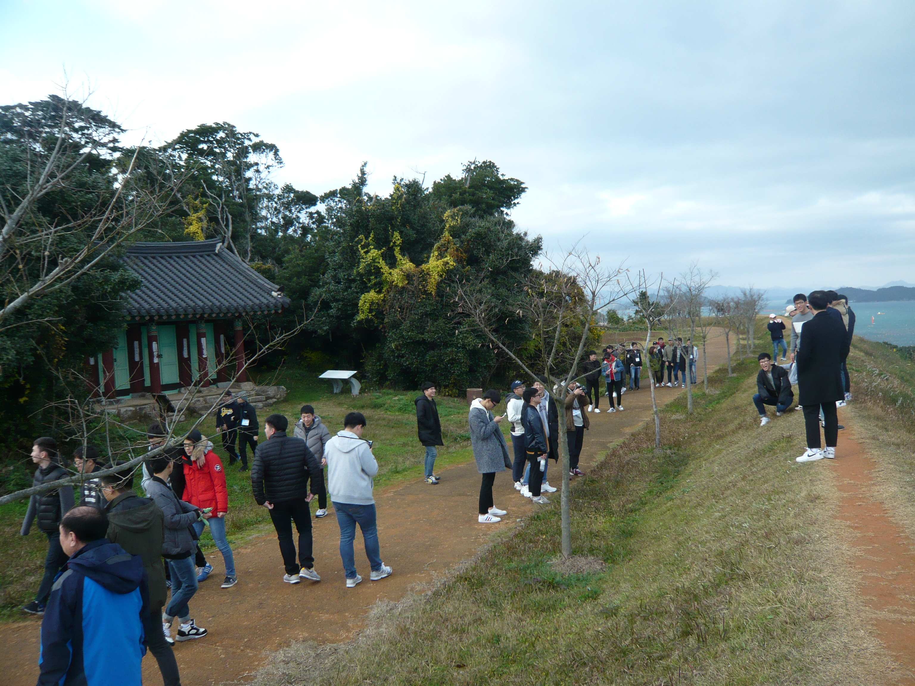 P1100789.JPG