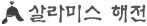 살라미스 해전